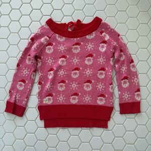 Wildflowers Santa baby sweater